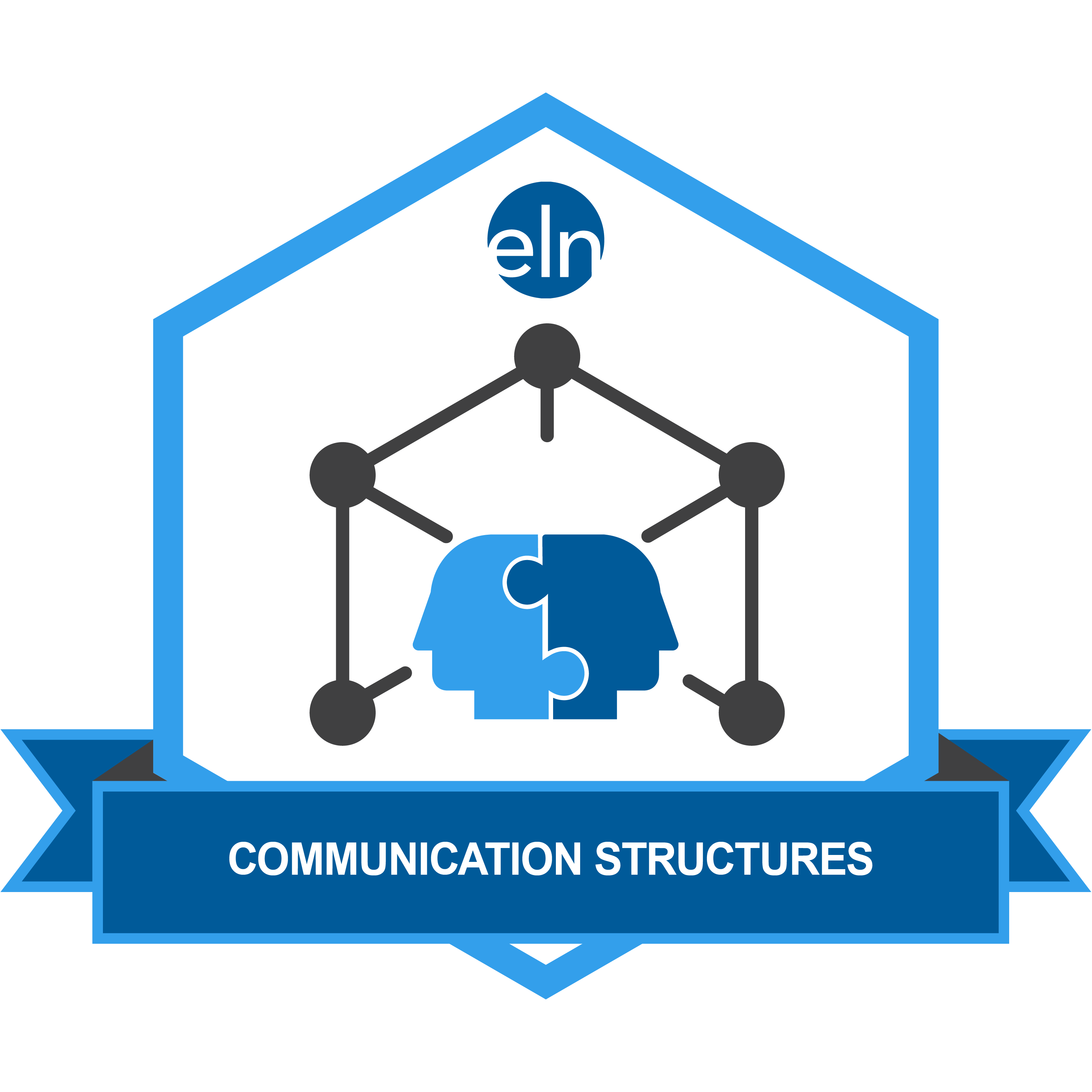 Communication Structures Micro-Credential